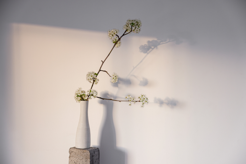 サロンコンセプト